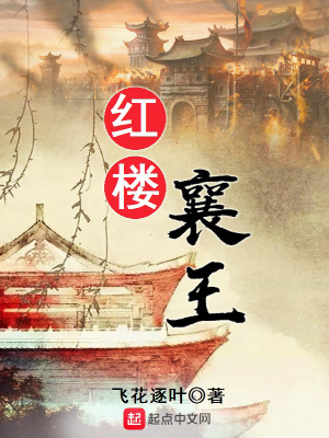 红楼:无双玉公子